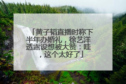 黄子韬直播时称下半年办婚礼，徐艺洋透露设想被大赞：哇，这个太好了