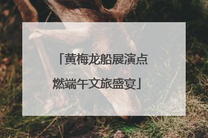 黄梅龙船展演点燃端午文旅盛宴