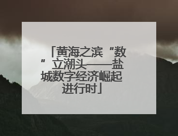 黄海之滨“数”立潮头——盐城数字经济崛起进行时