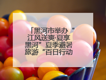 黑河市举办“江风送爽·夏享黑河”夏季避暑旅游“百日行动”新闻发布会