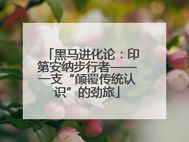 黑马进化论：印第安纳步行者——一支“颠覆传统认识”的劲旅