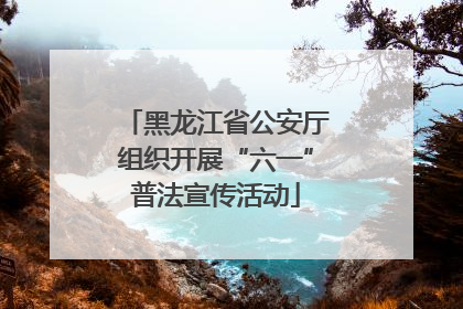 黑龙江省公安厅组织开展“六一”普法宣传活动