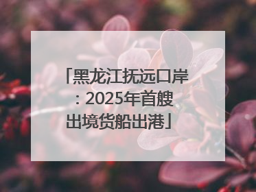 黑龙江抚远口岸：2025年首艘出境货船出港