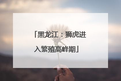 黑龙江：狮虎进入繁殖高峰期