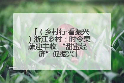 （乡村行·看振兴）浙江乡村：时令果蔬迎丰收 “甜蜜经济”促振兴