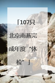 107只北京雨燕完成年度“体检”