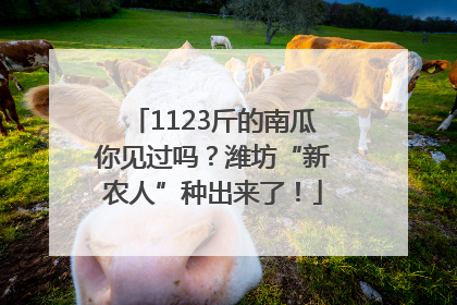 1123斤的南瓜你见过吗？潍坊“新农人”种出来了！
