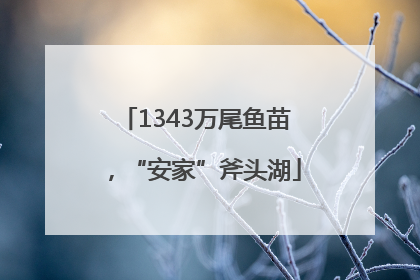 1343万尾鱼苗，“安家”斧头湖