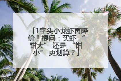 1字头小龙虾再降价！提问：买虾 “钳大” 还是 “钳小” 更划算？