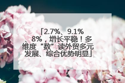 2.7%、9.1%、8%，增长平稳！多维度“数”读外贸多元发展、综合优势明显