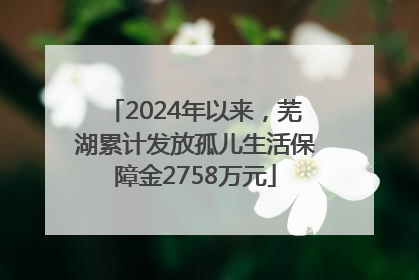 2024年以来，芜湖累计发放孤儿生活保障金2758万元