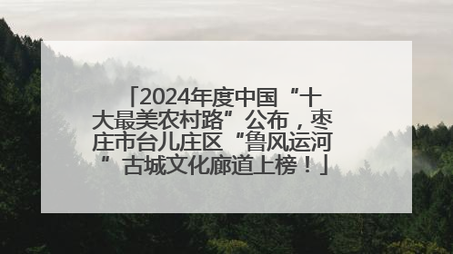 2024年度中国“十大最美农村路”公布，枣庄市台儿庄区“鲁风运河”古城文化廊道上榜！