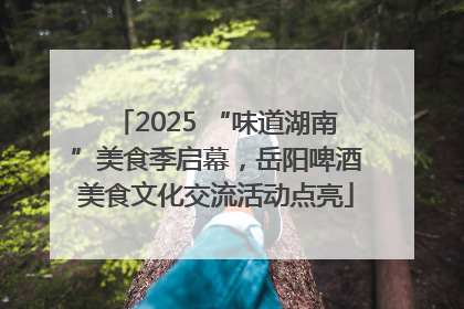 2025 “味道湖南”美食季启幕，岳阳啤酒美食文化交流活动点亮