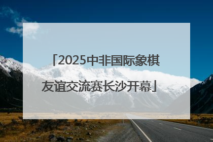 2025中非国际象棋友谊交流赛长沙开幕