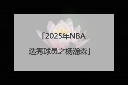 2025年NBA选秀球员之杨瀚森