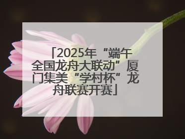 2025年“端午全国龙舟大联动”厦门集美“学村杯”龙舟联赛开赛