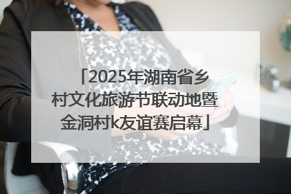 2025年湖南省乡村文化旅游节联动地暨金洞村k友谊赛启幕