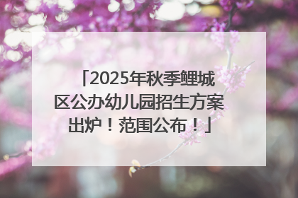 2025年秋季鲤城区公办幼儿园招生方案出炉！范围公布！