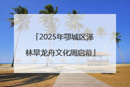 2025年鄂城区泽林旱龙舟文化周启幕