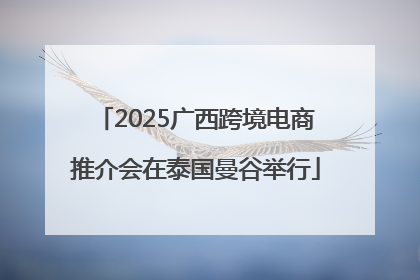 2025广西跨境电商推介会在泰国曼谷举行