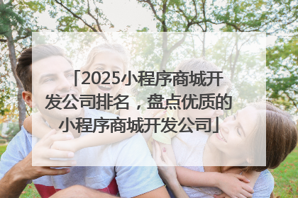 2025小程序商城开发公司排名，盘点优质的小程序商城开发公司