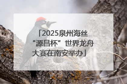 2025泉州海丝“源昌杯”世界龙舟大赛在南安举办