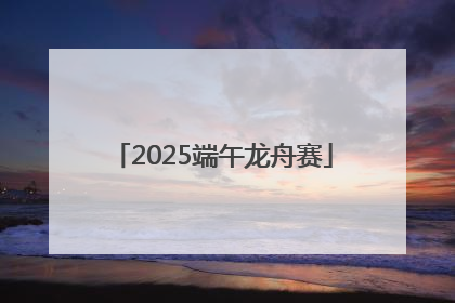 2025端午龙舟赛