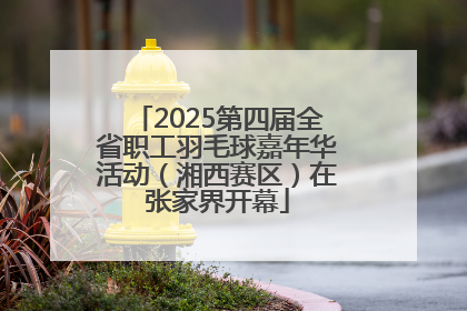 2025第四届全省职工羽毛球嘉年华活动（湘西赛区）在张家界开幕