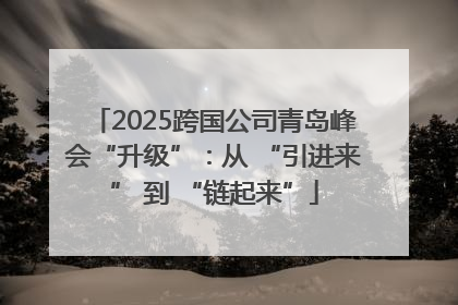 2025跨国公司青岛峰会“升级”：从 “引进来” 到 “链起来”