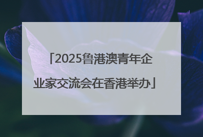 2025鲁港澳青年企业家交流会在香港举办