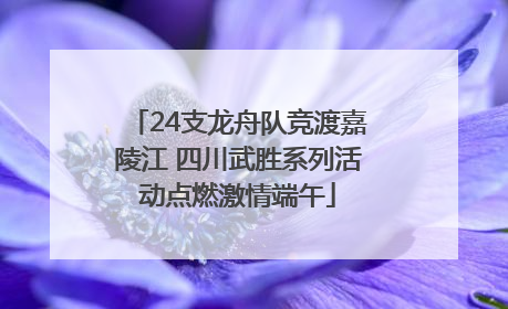 24支龙舟队竞渡嘉陵江 四川武胜系列活动点燃激情端午