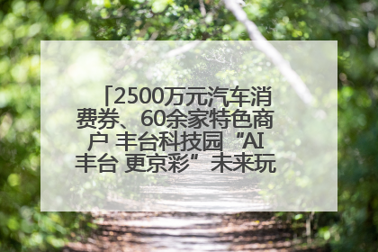 2500万元汽车消费券、60余家特色商户 丰台科技园“AI丰台 更京彩”未来玩家市集活动正式开幕