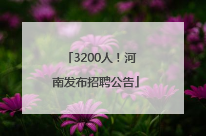 3200人！河南发布招聘公告