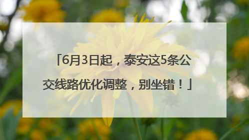 6月3日起，泰安这5条公交线路优化调整，别坐错！