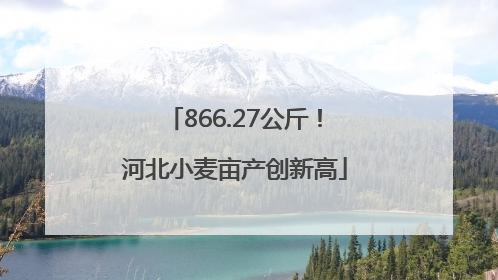 866.27公斤！河北小麦亩产创新高