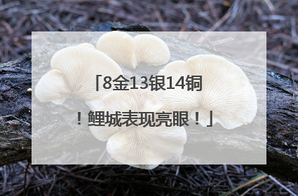8金13银14铜！鲤城表现亮眼！