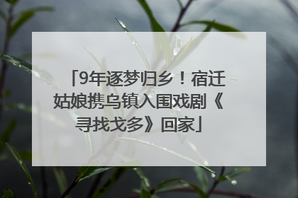 9年逐梦归乡！宿迁姑娘携乌镇入围戏剧《寻找戈多》回家