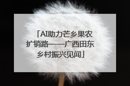AI助力芒乡果农扩销路——广西田东乡村振兴见闻