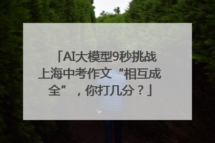 AI大模型9秒挑战上海中考作文“相互成全”，你打几分？
