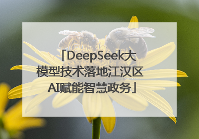 DeepSeek大模型技术落地江汉区 AI赋能智慧政务