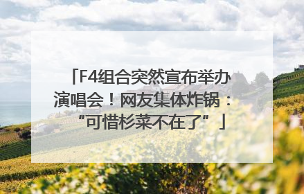 F4组合突然宣布举办演唱会！网友集体炸锅：“可惜杉菜不在了”