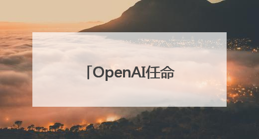 OpenAI任命了一位新CEO