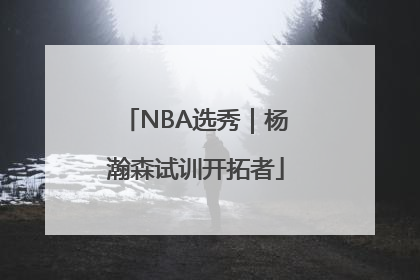 NBA选秀｜杨瀚森试训开拓者