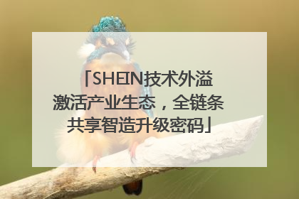 SHEIN技术外溢激活产业生态，全链条共享智造升级密码